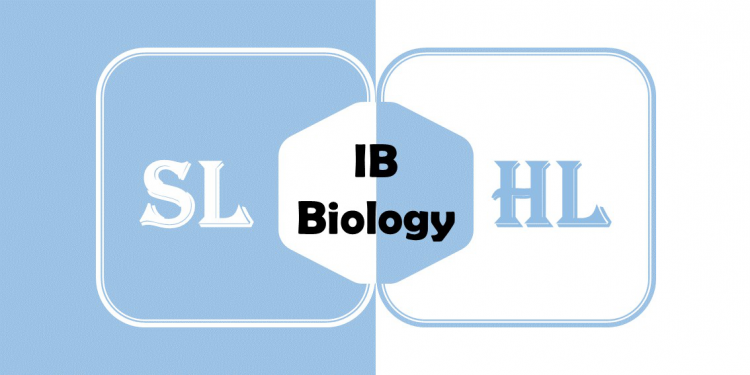 IB Biology SL HL