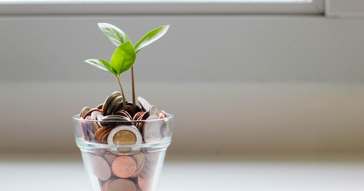 Coins with a growing seedling symbolizing financial aid and scholarship growth for international students applying to US colleges